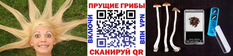 Псилоцибиновые грибы мицелий Тырныауз